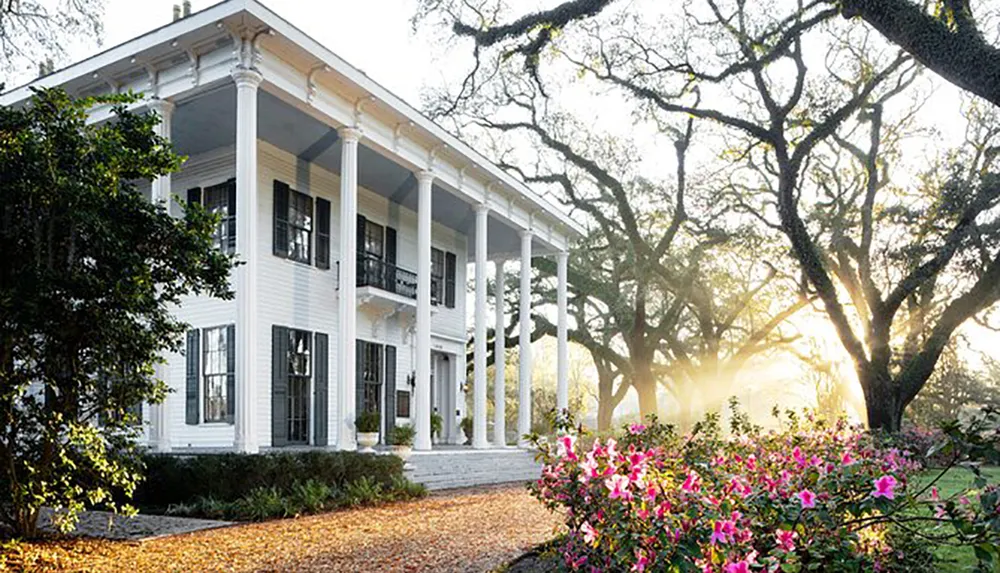 The image depicts a grand white two-story plantation-style house with a columned porch surrounded by mature oak trees and flowering bushes bathed in the warm glow of the morning sunlight