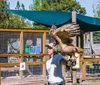 A person is holding and displaying a large bird possibly a raptor on their gloved arm in an outdoor setting with animal enclosures in the background
