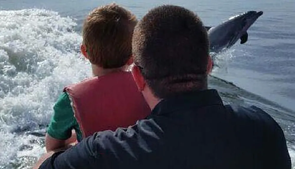 Two individuals are looking at a dolphin jumping out of the water nearby a boat creating an intriguing and lively scene