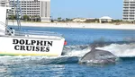 Gulf Shores Sightseeing Vacation Package