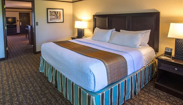 The image shows a neatly made king-size bed in a well-appointed hotel room featuring side tables with lamps and framed art on the wall