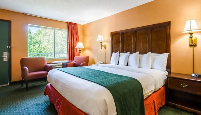 The image shows a neatly organized hotel room with a large bed side lamps a sitting area by the window and a warm color scheme