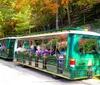 A tram full of passengers is touring through a wooded area with autumn foliage