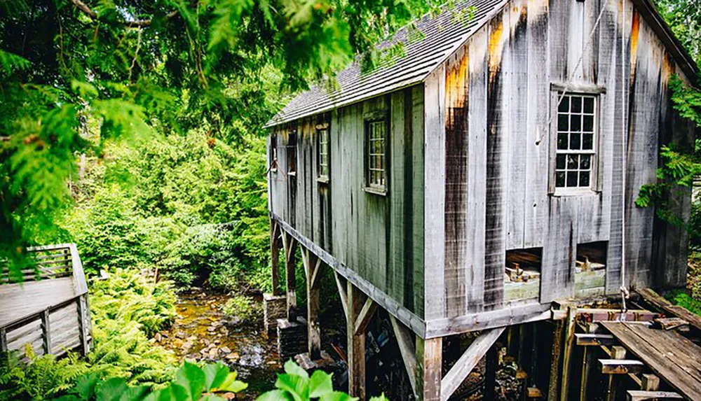 A weathered wooden cabin stands on stilts over a small stream surrounded by lush greenery