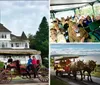 A horse-drawn carriage with passengers travels along a scenic park path in the late afternoon