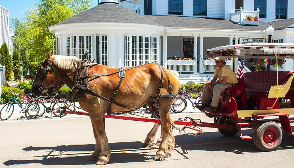 A horse is pulling a red carriage driven by a person in front of a white building with bicycles parked alongside the curb