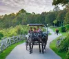 A horse-drawn carriage with passengers travels along a scenic park path in the late afternoon