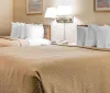 The image shows a typical hotel room with two made-up beds a nightstand with a phone and wall-mounted lamps
