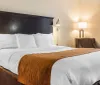 This image displays a neatly made king-size bed with white linens and a brown throw at the foot complemented by warm lighting from lamps in a tidy hotel room