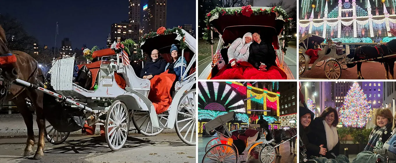 NYC Christmas Holiday Lights Horse Carriage Ride