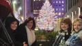 NYC Christmas Holiday Lights Horse Carriage Ride Photo