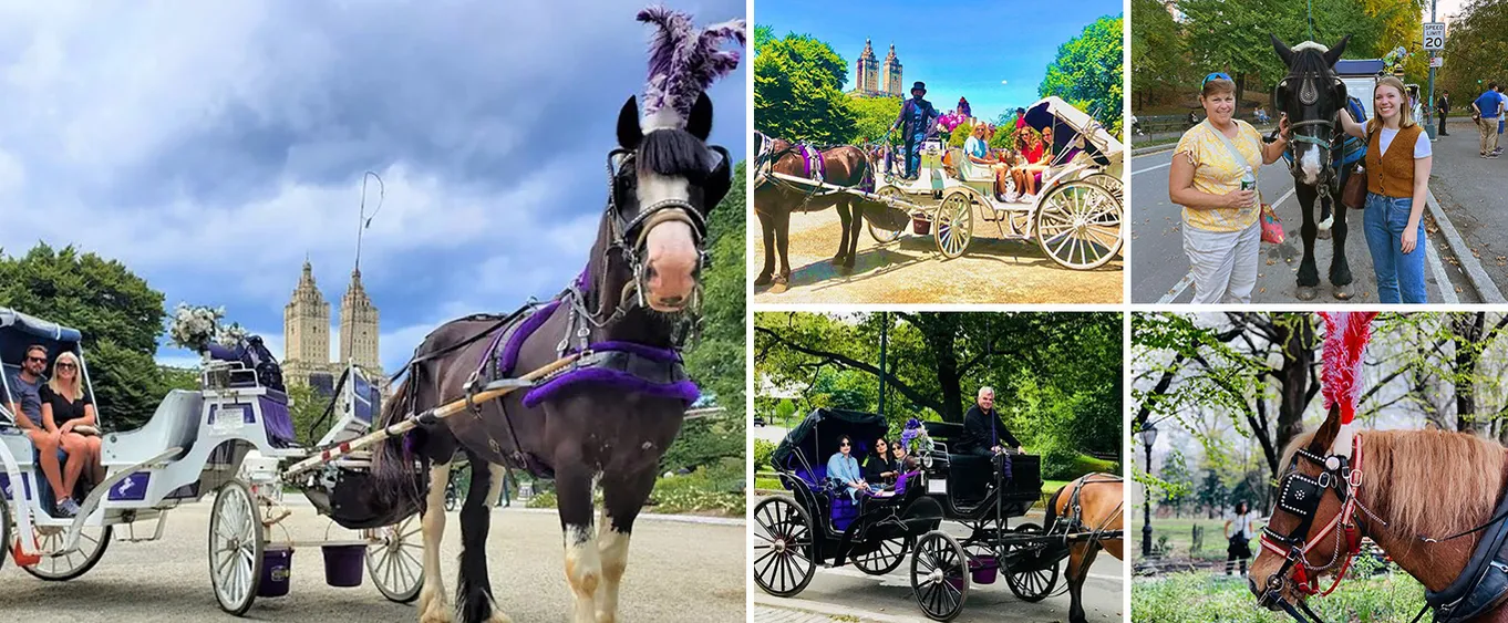 Central Park Horse & Carriage Ride