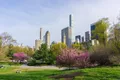 3-Hour Private Guided NYC Central Park Tour with Carrousel Ride Photo