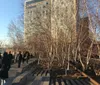 High Line Park Walking Tour