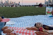 A picnic setup on a striped blue and white blanket with some food items laid out on it, overlooking a scenic view of a city skyline at dusk.