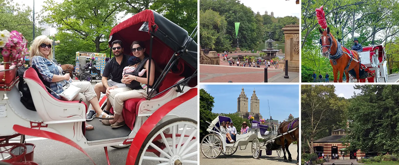 Horse Carriage Ride in Central Park