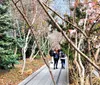 People are walking along a landscaped urban pathway lined with trees and shrubs with some early blossoms visible suggesting an early spring ambiance