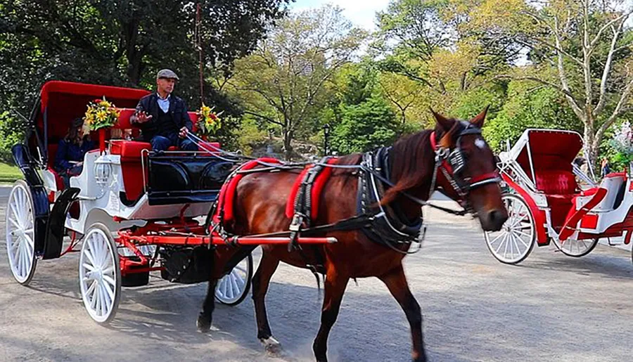 A horse-drawn carriage with a driver and passengers is traveling along a tree-lined path.