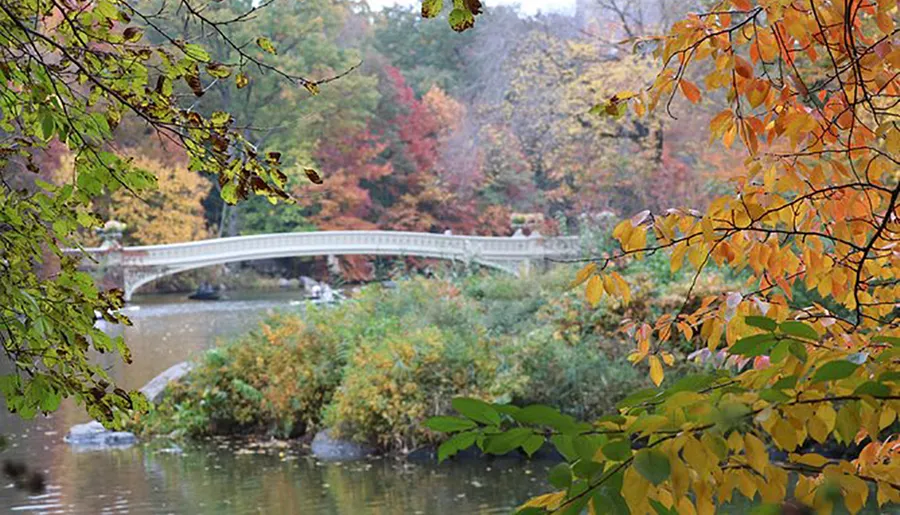 A serene autumn scene with a white bridge spanning across a river surrounded by trees with colorful fall foliage.