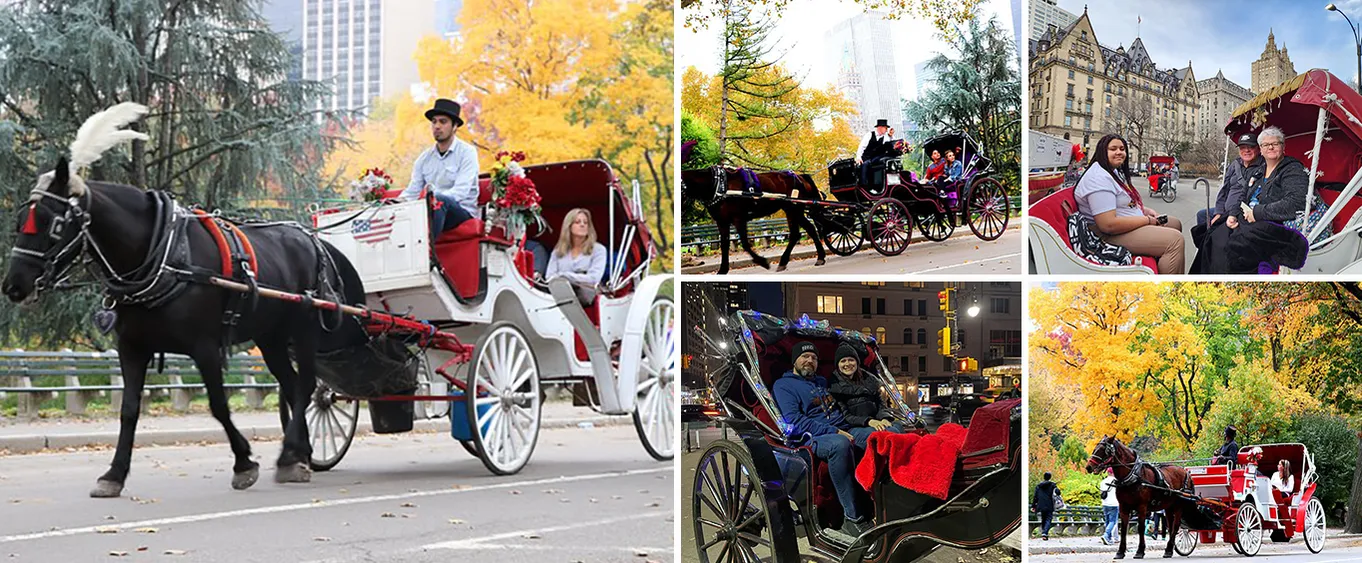 New York City Horse-Drawn Carriage Rides