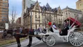 New York City Horse-Drawn Carriage Rides Photo