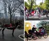 A horse-drawn carriage with passengers is traveling along a path in Central Park with the New York City skyline in the background