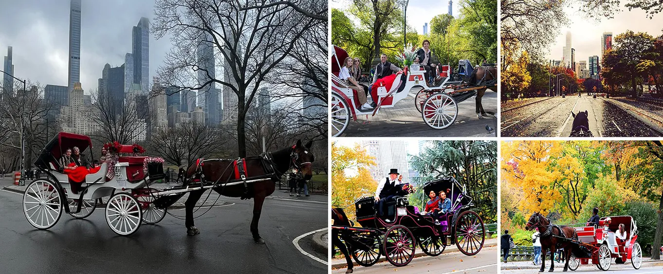NYC Horse Carriage Ride