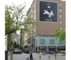 A person riding a bicycle on an urban street with a large Dior Homme advertisement featuring a shark on the side of a building