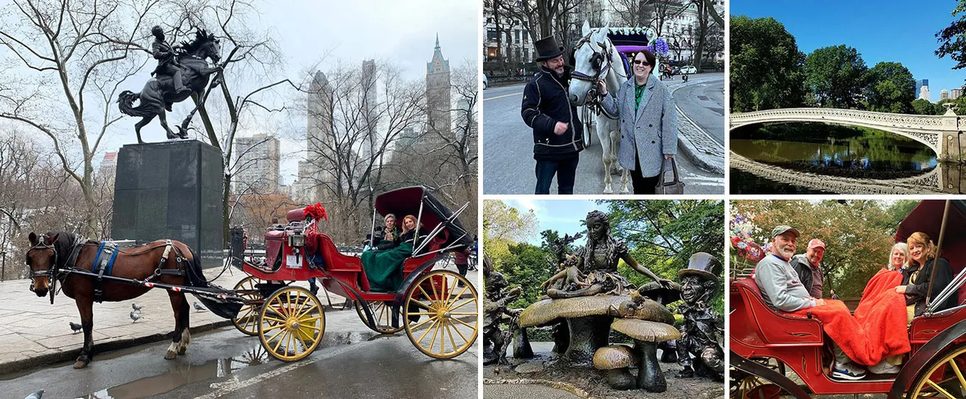 50 Minutes Central Park Horse and Carriage Tour Up to 4 Adults