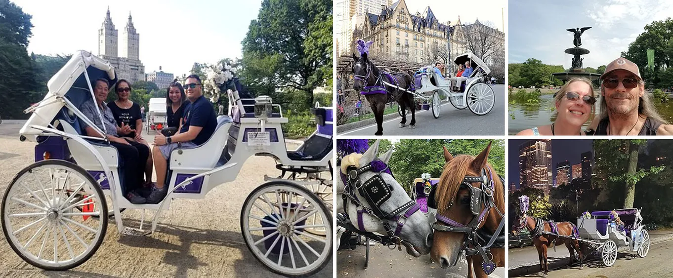 Premium NYC Central Park Horse Carriage Ride With 2 Photo Stops (45 Min)