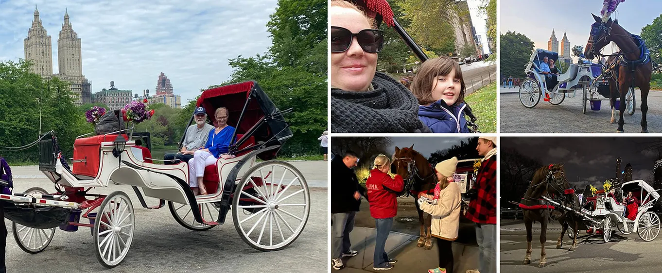 Private New York City Central Park Horse Carriage Ride (55 Min)