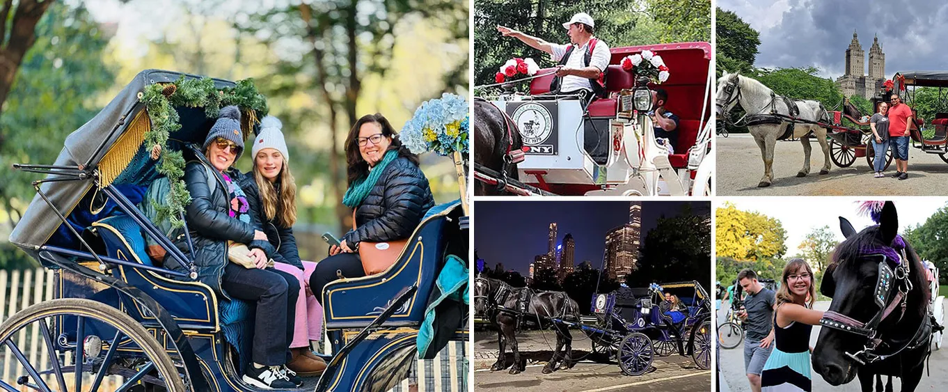 Central Park Horse Carriage Ride with Photo Stop (45 Min)