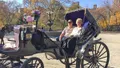NYC Central Park Horse and Carriage Ride Photo