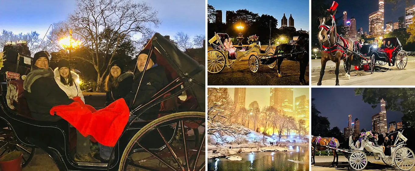 Magical Night Time Ride Through Central Park & Rockefeller Center (45-50 Min)