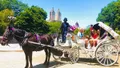 Horse & Carriage Ride Through Central Park, VIP Tour with Photo Stops (50min) Photo