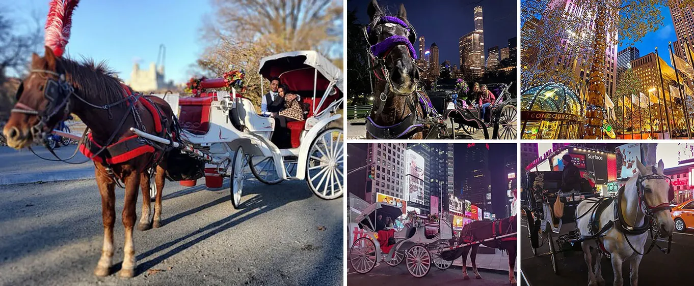 NYC Central Park & Rockefeller Center & Times Square Horse Carriage Private Tour