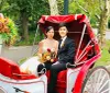 Two people are sitting cozily in a horse-drawn carriage enjoying a bottle of champagne
