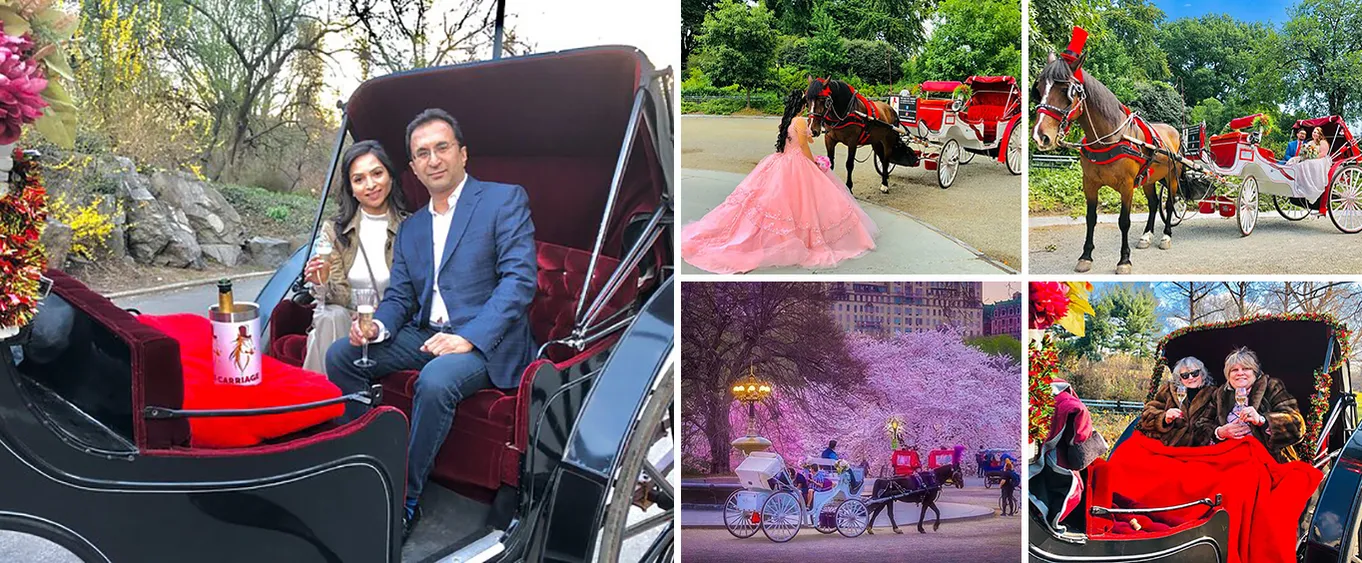 VIP Special Occasion Horse Carriage Ride in Central Park with Champagne (50 Min)