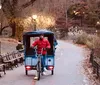 A rickshaw driver in a red jacket waits with his vehicle on an empty trail in a park with autumn foliage and street lamps at dusk