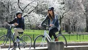 Two people are leisurely cycling along a path with blooming cherry trees in the background.