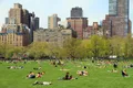 Central Park Guided Walking Tour with Picnic Lunch Photo