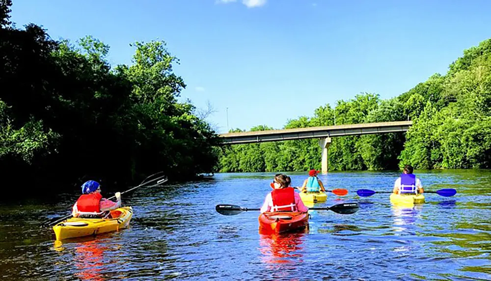 A group of people are kayaking on a river on a sunny day with lush greenery surrounding them and a bridge in the background