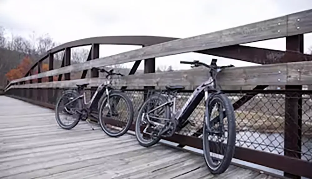 Two bicycles are parked on a wooden bridge with a metal and wood railing set against a backdrop of bare trees and overcast skies