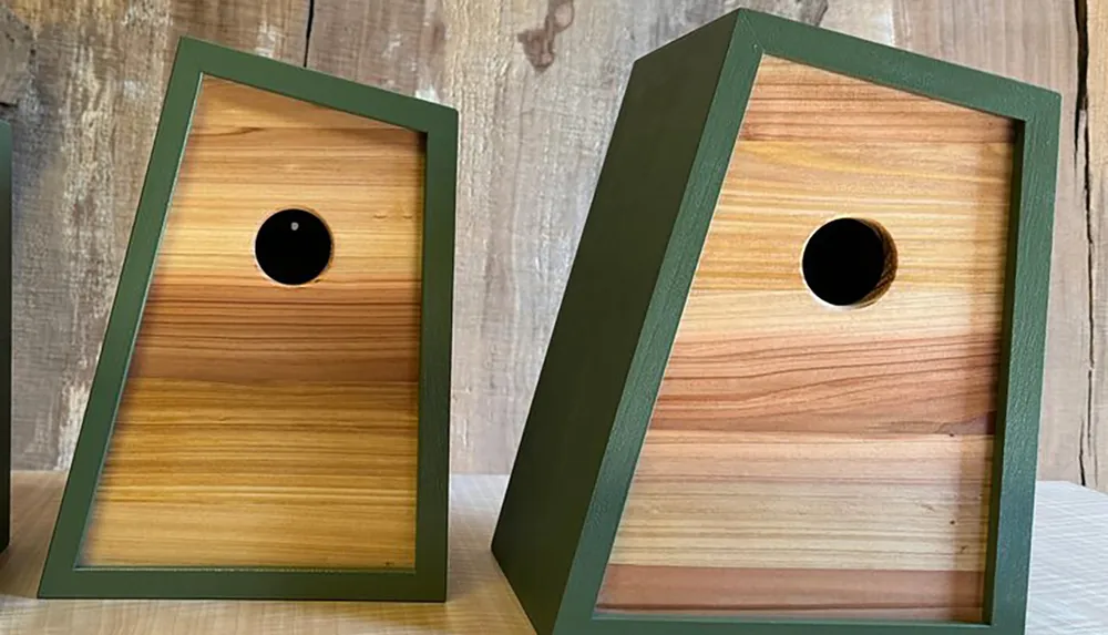 The image shows two wooden birdhouses with entrance holes painted green around the edges displayed on a wooden background