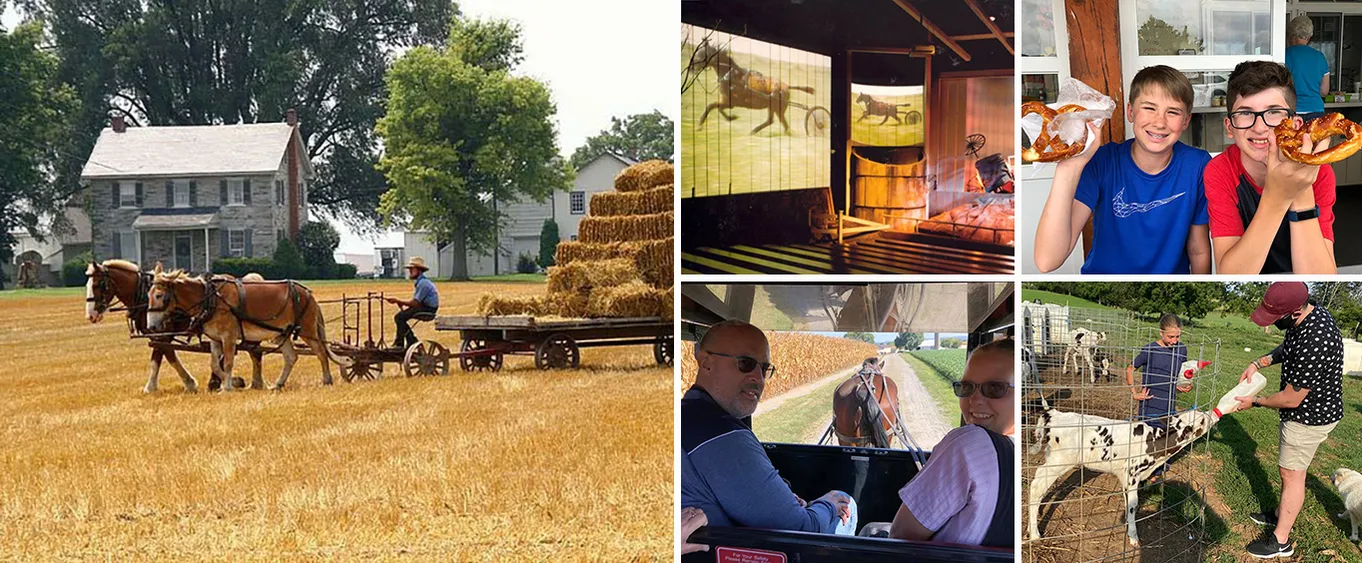 Amish Experience with Amish Farmlands Tour, Short Film & Amish House Tour