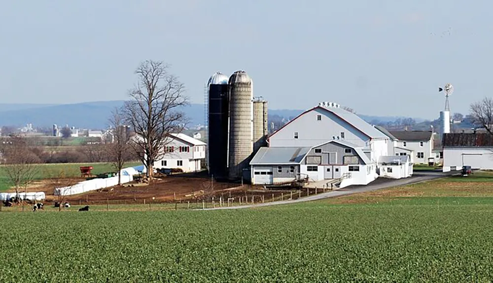 The image depicts a scenic rural farm with large white barnhouses cylindrical silos cows grazing and a green field in the foreground capturing the essence of pastoral life