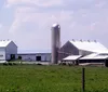 A person wearing a hat is riding a horse-drawn wagon loaded with hay bales through a field in front of a farmhouse