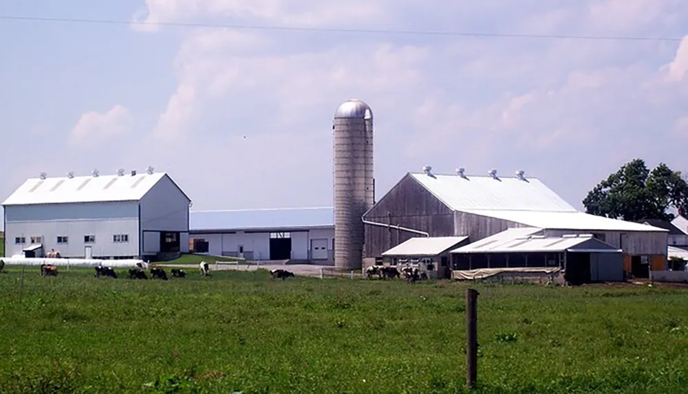 The image shows a pastoral farm scene with multiple buildings including a barn and a silo with cows grazing in the foreground