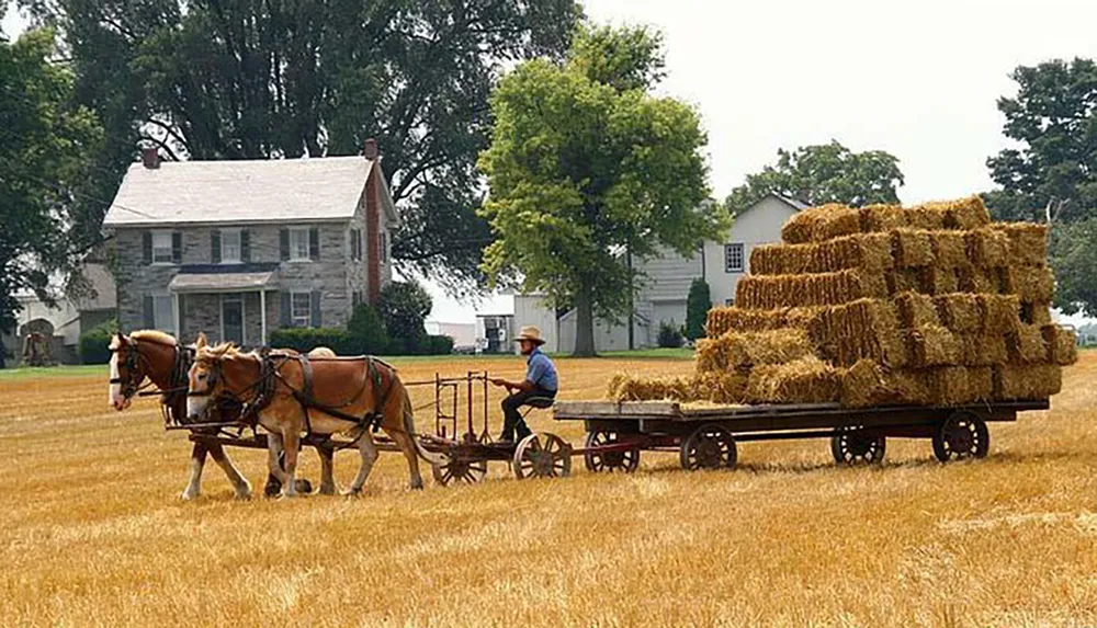 A person wearing a hat is riding a horse-drawn wagon loaded with hay bales through a field in front of a farmhouse