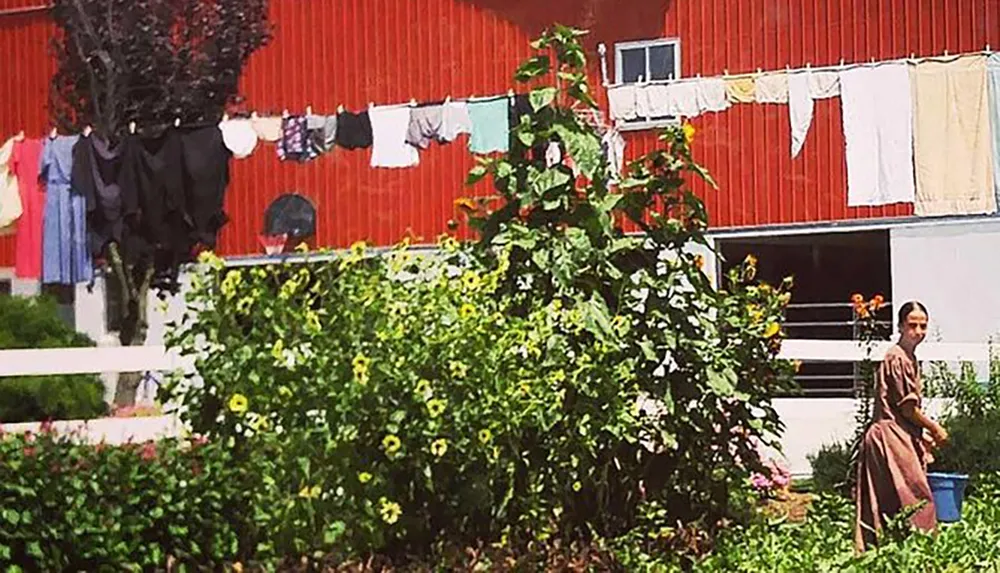 A person stands in a lush garden in front of a building with clothes hanging on a line to dry